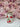 Cherries Glass Cup