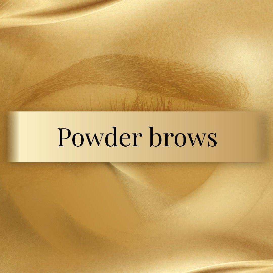 Powder Brows Perfection Online Course